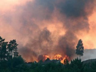 FUEGO CAMPO 01